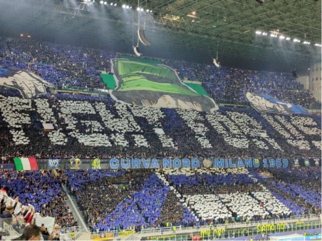 1681952732907017831.jpg 1681952564794.jpg